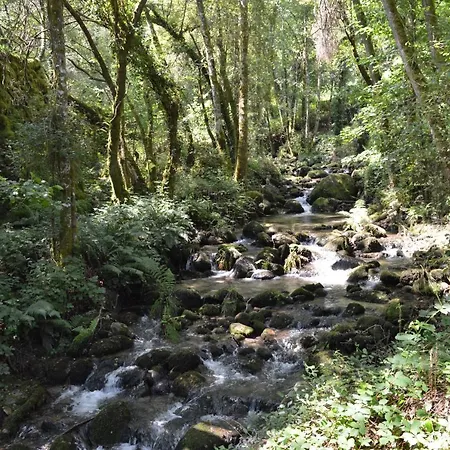 Olar De Hotell Rabacallos