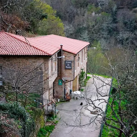 Olar De *