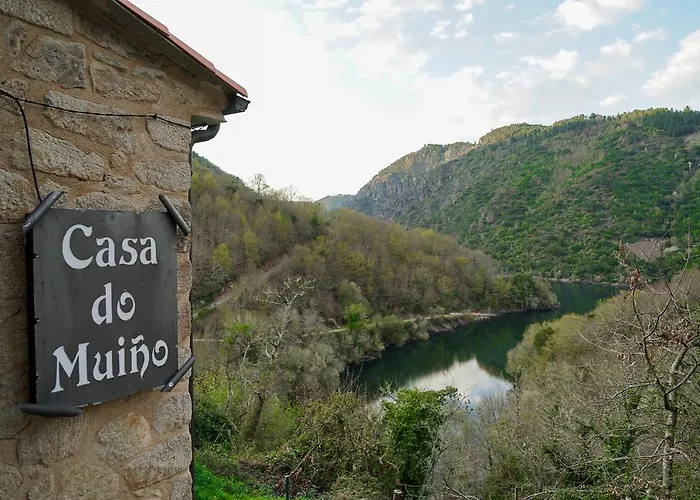 Olar De