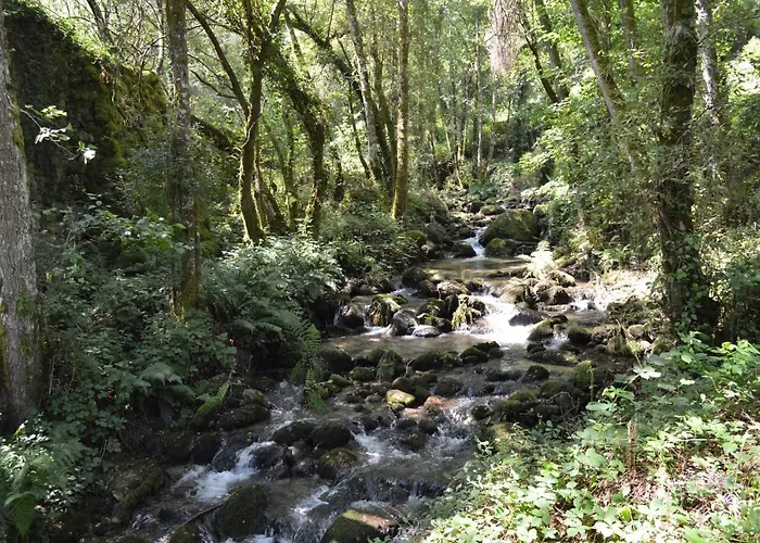 Olar De Отель Рабакальос