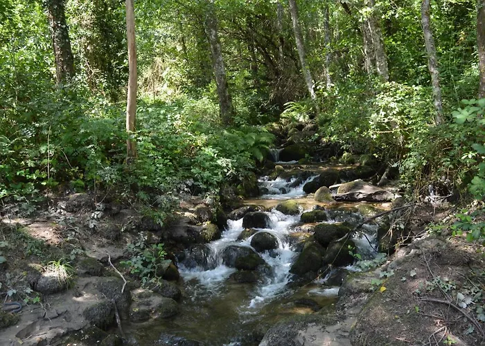 Ξενοδοχείο Olar De